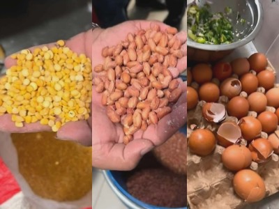  सिंहदरबारको केन्द्रीय क्यान्टिनमा भेटियो घुन लागेको दाल, ओसिएको बदाम र फुटेको अण्डा, दुई लाख जरिवाना 