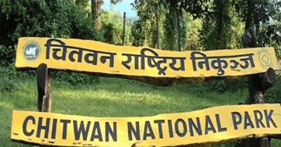  १ वर्षमा ८३ वन्यजन्तु मरे, तर कसरी ? 