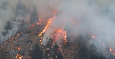  गत चैतदेखि मात्रै १६२ हेक्टर वनमा डढेलो, कहिले बन्ने सचेत ? 