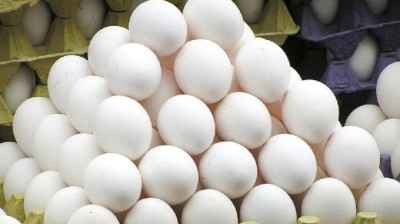  अन्डाको मूल्य लागतनजिक 