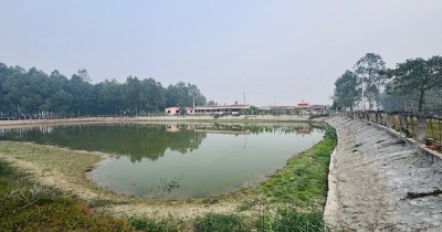  नमुना बन्यो गौरादहको ‘सहकारी खेती’ र ‘कृषि घरबास’ 