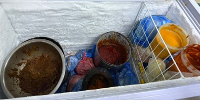  वसन्तपुर र इन्द्रचोकमा काठमाडौं महानगरको खाद्य अनुगमन 