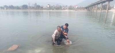  नारायणीमा हामफालेका खिलाको उद्धार 