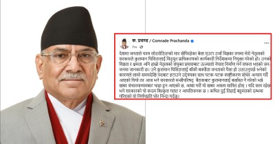  कुलमानलाई सरकारले हटाएको खबर असत्य साबित होस् : प्रचण्ड 