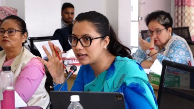  ‘यातायात सुरक्षामा एकीकृत नियमनको आवश्यकता छ’ 