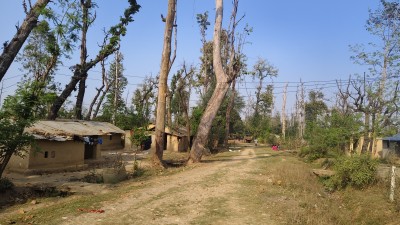  हरेक निर्वाचनमा लालपुर्जाको आश्वासन 