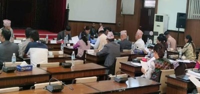  भूमि विधेयकमाथि छलफल, अस्पस्ट भाषा प्रयोग गरिएकोमा सांसदहरूले असन्तुष्टि 