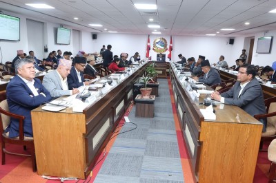  डढेलो नियन्त्रण तथा रोकथाम गर्न सम्बन्धित निकायलाई निर्देशन 