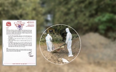  काठमाडौं उपत्यकासहित ११ जिल्लाका ८२ ठाउँमा देखियो बर्ड फ्लु 