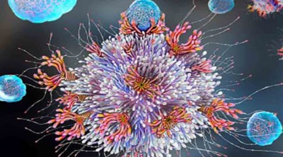  काठमाडौँ महानगरले आजबाट स्तन र पाठेघरको मुखको क्यान्सरको निःशुल्क परीक्षण सुरु गर्दै 