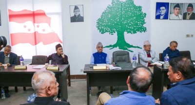  कांग्रेस बैठक :  १५ औं महाधिवेशन नियमित कि विशेष भन्नेमै बहस केन्द्रित 