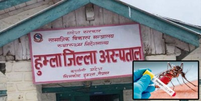  हुम्लामा पनि डेङ्गुका बिरामी फेला 