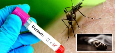  बङ्गलादेशमा डेङ्गुका कारण एकै दिन १२ जनाको मृत्यु 
