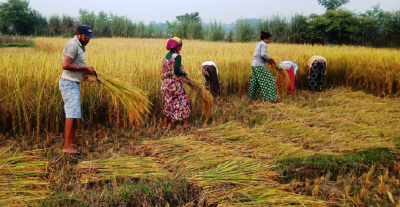  पाकेका बालीनालीको उचित व्यवस्थापन गर्न  मौसम विभागको सुझाव 