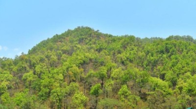  फूलचोकी जङ्गलबाट हराएका १३ जना सम्पर्कमा आए 