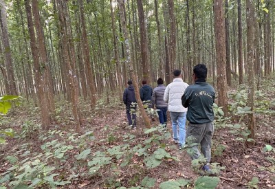  वन डढेलो नियन्त्रणका लागि सचेतना सप्ताह सुरु 