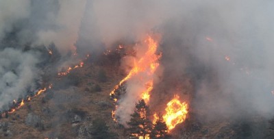  वनमा लागेको डढेलोमा जलेर एक जनाको मृत्यु  