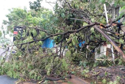  सोलुखुम्बुमा हावाहुरीबाट घर तथा विद्यालयमा ठूलो क्षति, रूख ढलेर विजुली र राजमार्ग समेत अवरुद्ध 