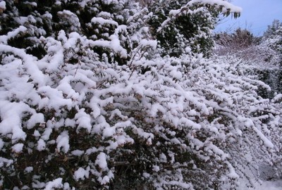  बागलुङको ढोरपाटनमा वर्षासँगै हिमपात, चिसोले जनजीवन कष्टकर  