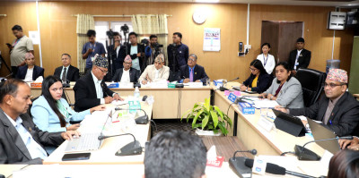  न्यायपालिकाबारे चासो जनाउने तीन अन्तर्राष्ट्रिय मानवअधिकार संस्थाका प्रतिनिधि किन समितिको बैठकमा गएनन्? 