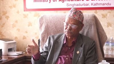  कृषिमन्त्री परियारको खुलासा- उखु किसानलाई प्रोत्साहन रकम ७५ रुपैयाँ भनेर ७० दिने गरिएको रहेछ 