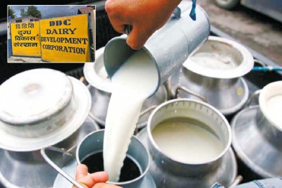  किसानलाई दूधको दैनिक एक करोड भुक्तानी 