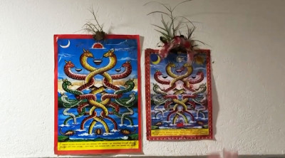  नागपञ्चमी पर्व मनाइयो 