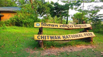  आजदेखि निकुञ्जमा व्यावसायिक सफारी सेवा बन्द 