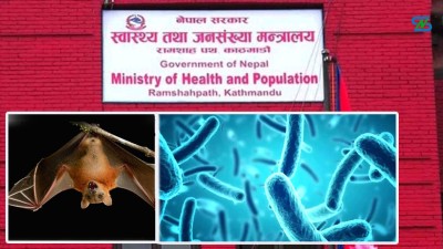  नेपालमा निपाह भाइरसको जोखिम न्यून भए पनि सतर्क रहन स्वास्थ्य मन्त्रालयको आग्रह 
