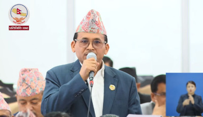  सरकारका केही मन्त्रीहरुले गैरराजनीतिक गतिविधि गरे, तत्काल रोक्न सांसद मल्लको ध्यानाकर्षण 