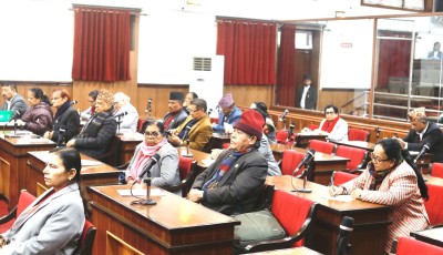  ‘जेनजी आन्दोलनको जगमा बनेको सरकारले जनताको विश्वास जित्न सकेन’ 