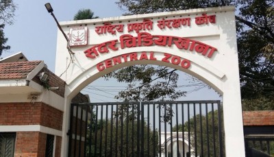  सदर चिडियाखानाको जनावर ‘रेस्क्यु’ टोली देशभर सक्रिय 