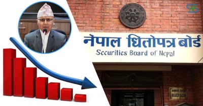  पुँजी बजार सुधारका लागि सुझाव कार्यदल गठन 