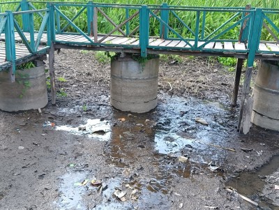  पानीको अभावले सिमसार क्षेत्र सुक्दै,रोपाइँ हुन सकेन 