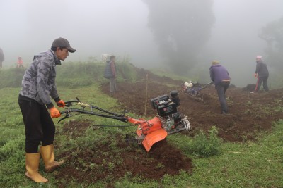  व्यावसायिक रूपमा सिस्नुखेती गर्दै किसान 