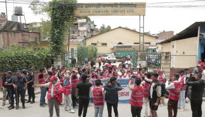  रासायनिक मलको दीर्घकालीन समाधान खोज्न वाईसीएलको धर्ना  [तस्बिरसहित] 