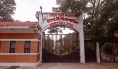  चिडियाखानामा बर्डफ्लु संक्रमण: समयमै जानकारी नदिएको आरोपमा प्रमुख हटाइए 