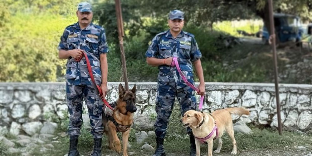 गड्डाचौकीमा सशस्त्र प्रहरीको ‘अल्फा’ र ‘डेल्टा’ को ‘ड्युटी’