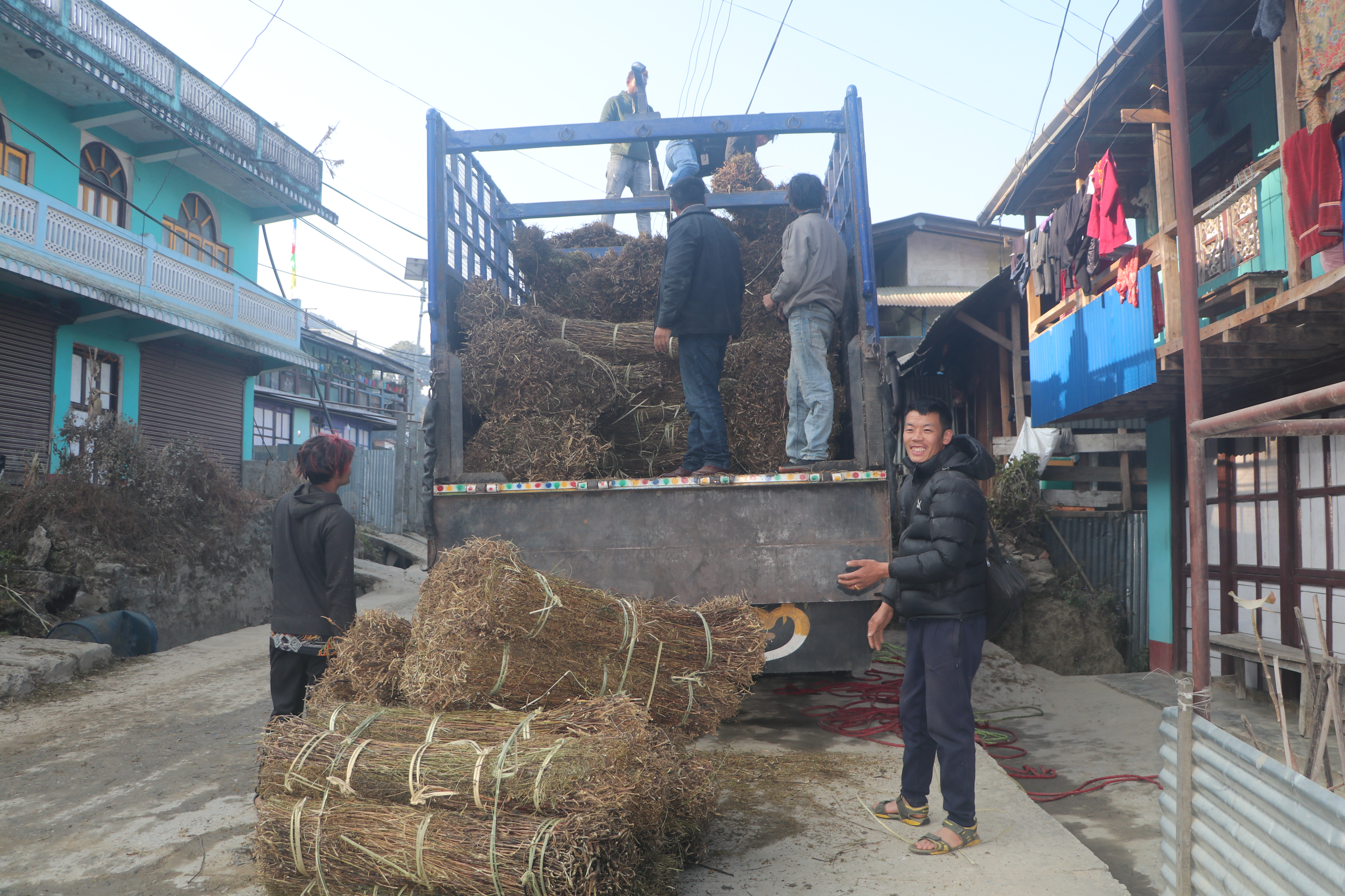 चिराइतो बिक्री नहुँदा  किसान चिन्तित