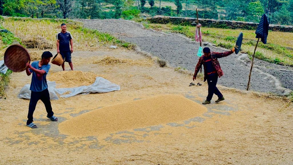 पर्वतमा ६५ करोडको कृषिजन्य वस्तुको कारोबार