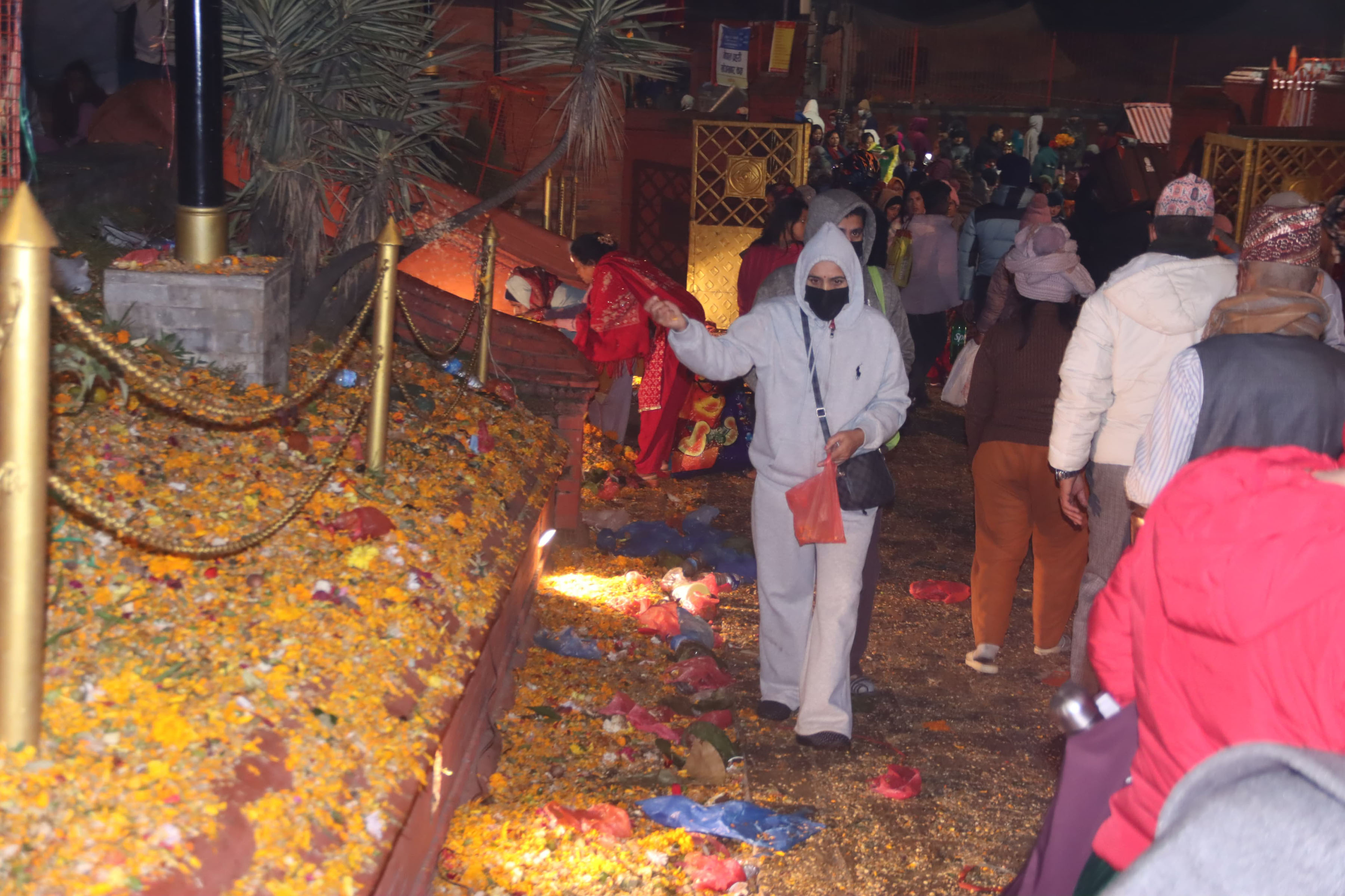 पशुपति क्षेत्र लगायत पवित्र धामहरुमा शतबीज छर्नेको घुइँचो(तस्वीरहरु)